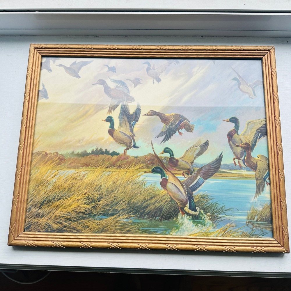 Vintage Mallard Ducks in Flight Framed Wildlife Lithograph Print Gold Frame